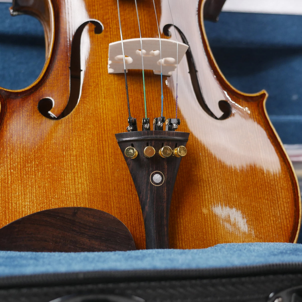 Procraft PR VHF301E 4/4 Violin