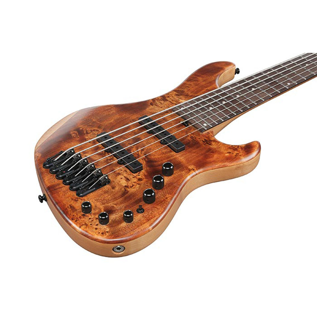 Ibanez MDM Series Bass Guitar MDM1606-NML Natural Mocha Low Gloss