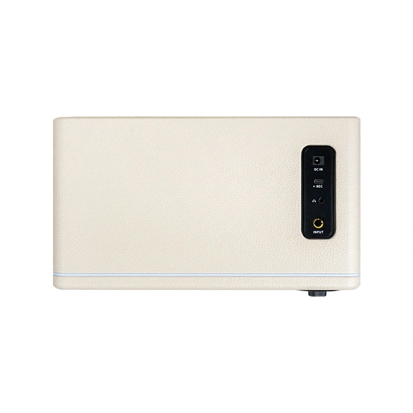 Mooer Hornet 15i INTELLIGENT AMP - White